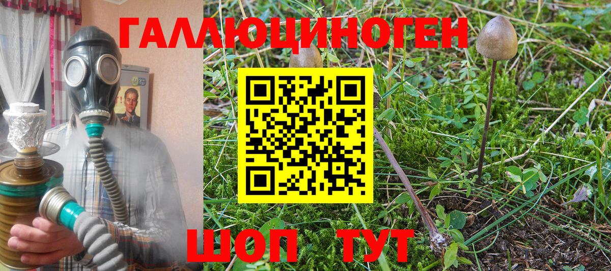 Коммунар  Галлюциногенные грибы MAGIC MUSHROOMS  Вход с VPN 