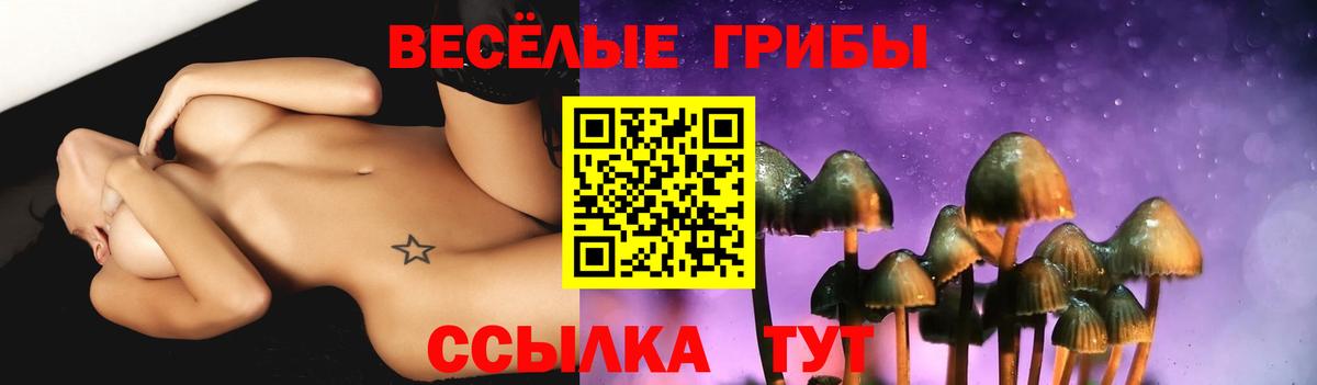 Галлюциногенные грибы прущие грибы Коммунар